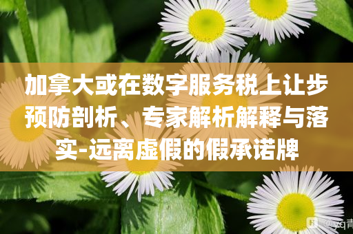 加拿大或在數(shù)字服務(wù)稅上讓步預(yù)防剖析、專家解析解釋與落實-遠離虛假的假承諾牌
