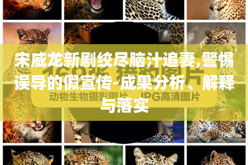 宋威龍新劇絞盡腦汁追妻,警惕誤導(dǎo)的假宣傳-成果分析、解釋與落實(shí)