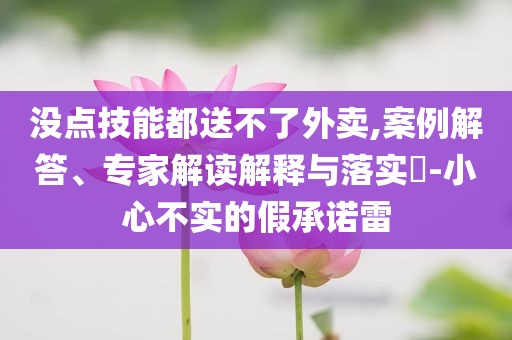 沒(méi)點(diǎn)技能都送不了外賣,案例解答、專家解讀解釋與落實(shí)?-小心不實(shí)的假承諾雷
