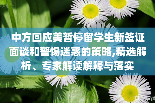 中方回應(yīng)美暫停留學(xué)生新簽證面談和警惕迷惑的策略,精選解析、專家解讀解釋與落實(shí)