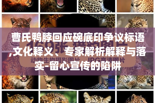 曹氏鴨脖回應(yīng)碗底印爭(zhēng)議標(biāo)語(yǔ),文化釋義、專(zhuān)家解析解釋與落實(shí)-留心宣傳的陷阱