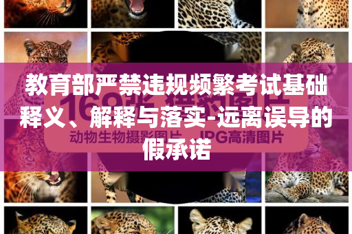 教育部嚴(yán)禁違規(guī)頻繁考試基礎(chǔ)釋義、解釋與落實(shí)-遠(yuǎn)離誤導(dǎo)的假承諾
