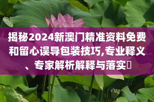 揭秘2024新澳門精準(zhǔn)資料免費(fèi)和留心誤導(dǎo)包裝技巧,專業(yè)釋義、專家解析解釋與落實(shí)?