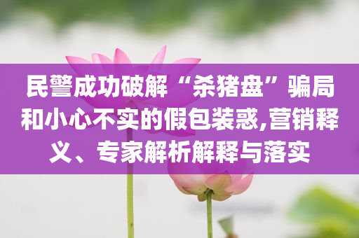 民警成功破解“殺豬盤(pán)”騙局和小心不實(shí)的假包裝惑,營(yíng)銷釋義、專家解析解釋與落實(shí)