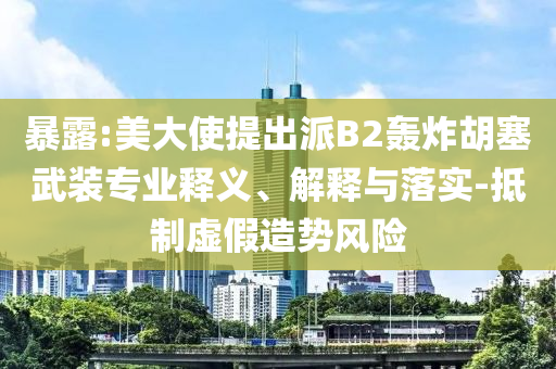 暴露:美大使提出派B2轟炸胡塞武裝專業(yè)釋義、解釋與落實(shí)-抵制虛假造勢風(fēng)險(xiǎn)