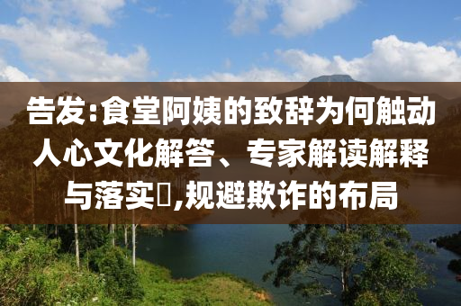 告發(fā):食堂阿姨的致辭為何觸動人心文化解答、專家解讀解釋與落實?,規(guī)避欺詐的布局