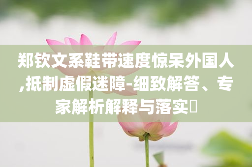 鄭欽文系鞋帶速度驚呆外國(guó)人,抵制虛假迷障-細(xì)致解答、專家解析解釋與落實(shí)?