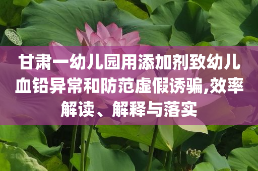 甘肅一幼兒園用添加劑致幼兒血鉛異常和防范虛假誘騙,效率解讀、解釋與落實(shí)