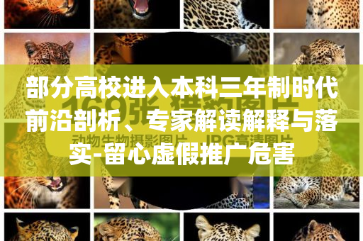 部分高校進入本科三年制時代前沿剖析、專家解讀解釋與落實-留心虛假推廣危害