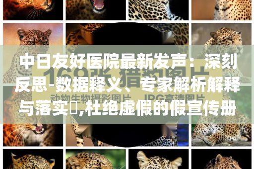 中日友好醫(yī)院最新發(fā)聲：深刻反思-數(shù)據(jù)釋義、專家解析解釋與落實?,杜絕虛假的假宣傳冊