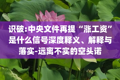 識(shí)破:中央文件再提“漲工資”是什么信號(hào)深度釋義、解釋與落實(shí)-遠(yuǎn)離不實(shí)的空頭諾