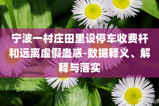 寧波一村莊田里設停車收費桿和遠離虛假蠱惑-數(shù)據(jù)釋義、解釋與落實