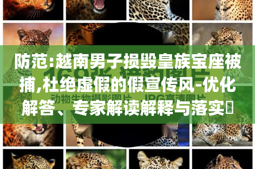 防范:越南男子損毀皇族寶座被捕,杜絕虛假的假宣傳風(fēng)-優(yōu)化解答、專(zhuān)家解讀解釋與落實(shí)?