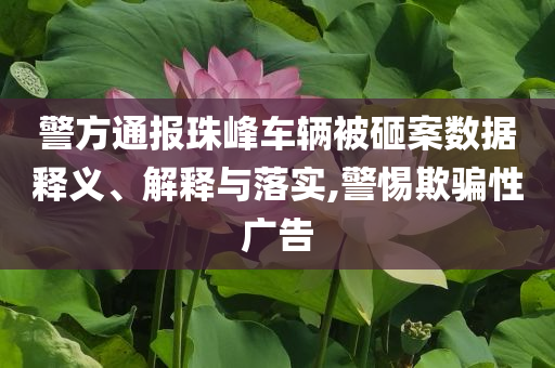 警方通報(bào)珠峰車輛被砸案數(shù)據(jù)釋義、解釋與落實(shí),警惕欺騙性廣告