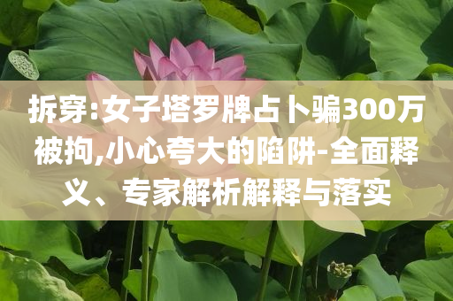 拆穿:女子塔羅牌占卜騙300萬被拘,小心夸大的陷阱-全面釋義、專家解析解釋與落實(shí)