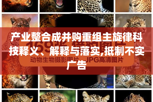產(chǎn)業(yè)整合成并購(gòu)重組主旋律科技釋義、解釋與落實(shí),抵制不實(shí)廣告