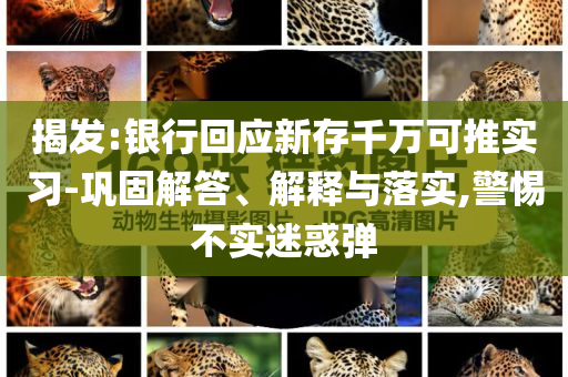 揭發(fā):銀行回應(yīng)新存千萬可推實習(xí)-鞏固解答、解釋與落實,警惕不實迷惑彈