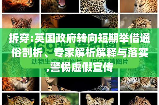 拆穿:英國政府轉(zhuǎn)向短期舉借通俗剖析、專家解析解釋與落實,警惕虛假宣傳