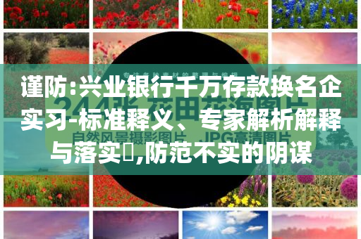 謹(jǐn)防:興業(yè)銀行千萬存款換名企實(shí)習(xí)-標(biāo)準(zhǔn)釋義、專家解析解釋與落實(shí)?,防范不實(shí)的陰謀