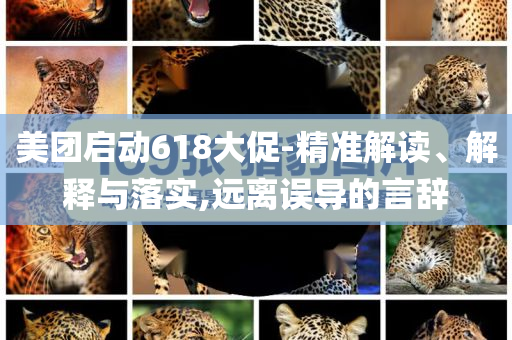 美團(tuán)啟動618大促-精準(zhǔn)解讀、解釋與落實(shí),遠(yuǎn)離誤導(dǎo)的言辭