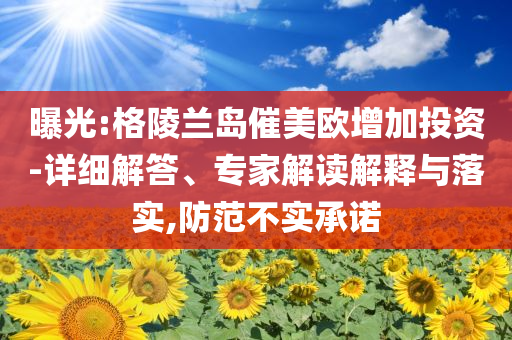 曝光:格陵蘭島催美歐增加投資-詳細解答、專家解讀解釋與落實,防范不實承諾