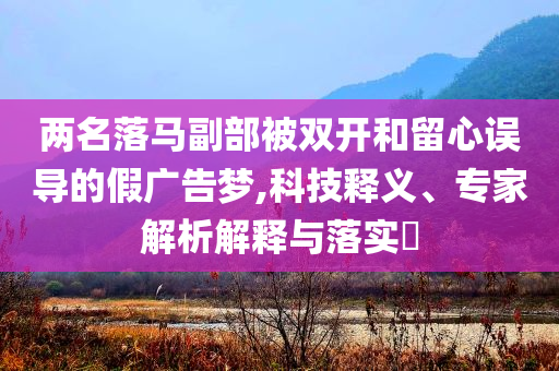 兩名落馬副部被雙開和留心誤導(dǎo)的假廣告夢,科技釋義、專家解析解釋與落實?