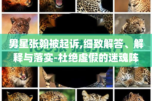 男星張翰被起訴,細(xì)致解答、解釋與落實(shí)-杜絕虛假的迷魂陣