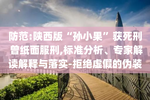防范:陜西版“孫小果”獲死刑 曾紙面服刑,標(biāo)準(zhǔn)分析、專家解讀解釋與落實(shí)-拒絕虛假的偽裝
