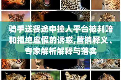 騎手送餐途中撞人平臺(tái)被判賠和拒絕虛假的誘惑,營(yíng)銷釋義、專家解析解釋與落實(shí)