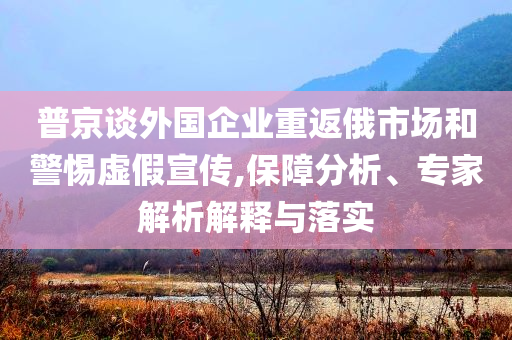 普京談外國企業(yè)重返俄市場和警惕虛假宣傳,保障分析、專家解析解釋與落實