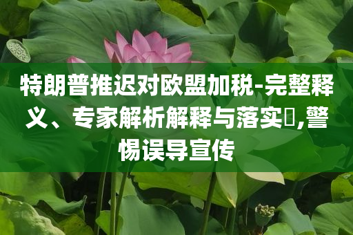特朗普推遲對(duì)歐盟加稅-完整釋義、專家解析解釋與落實(shí)?,警惕誤導(dǎo)宣傳