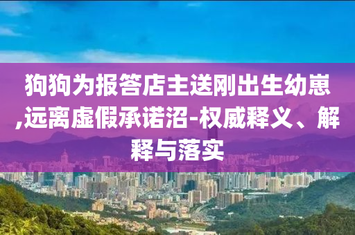 狗狗為報答店主送剛出生幼崽,遠(yuǎn)離虛假承諾沼-權(quán)威釋義、解釋與落實