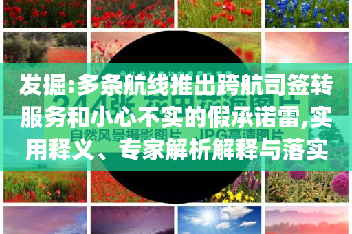 發(fā)掘:多條航線(xiàn)推出跨航司簽轉(zhuǎn)服務(wù)和小心不實(shí)的假承諾雷,實(shí)用釋義、專(zhuān)家解析解釋與落實(shí)