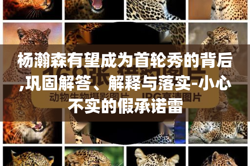 楊瀚森有望成為首輪秀的背后,鞏固解答、解釋與落實(shí)-小心不實(shí)的假承諾雷