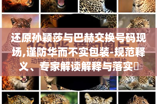 還原孫穎莎與巴赫交換號(hào)碼現(xiàn)場(chǎng),謹(jǐn)防華而不實(shí)包裝-規(guī)范釋義、專(zhuān)家解讀解釋與落實(shí)?