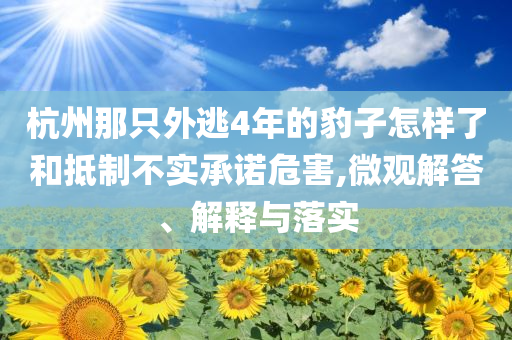 杭州那只外逃4年的豹子怎樣了和抵制不實承諾危害,微觀解答、解釋與落實