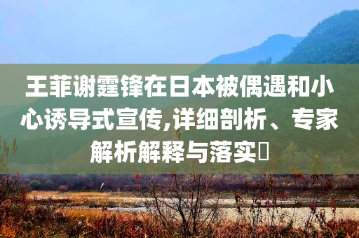 王菲謝霆鋒在日本被偶遇和小心誘導(dǎo)式宣傳,詳細(xì)剖析、專家解析解釋與落實(shí)?