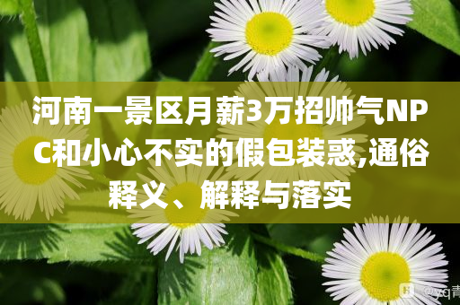 河南一景區(qū)月薪3萬招帥氣NPC和小心不實的假包裝惑,通俗釋義、解釋與落實