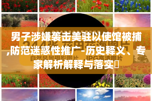 男子涉嫌襲擊美駐以使館被捕,防范迷惑性推廣-歷史釋義、專(zhuān)家解析解釋與落實(shí)?