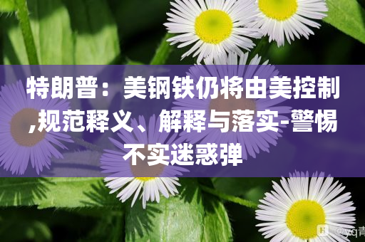 特朗普：美鋼鐵仍將由美控制,規(guī)范釋義、解釋與落實-警惕不實迷惑彈