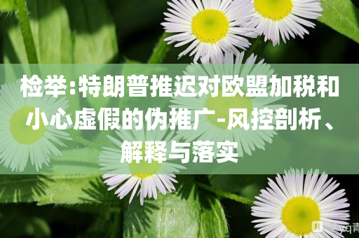 檢舉:特朗普推遲對歐盟加稅和小心虛假的偽推廣-風(fēng)控剖析、解釋與落實(shí)