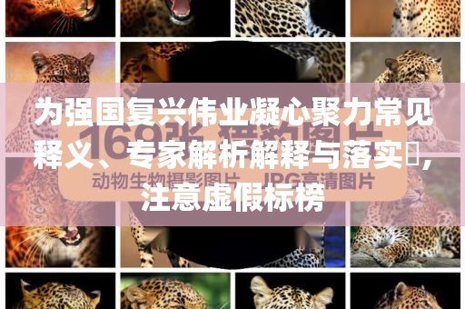 為強(qiáng)國復(fù)興偉業(yè)凝心聚力常見釋義、專家解析解釋與落實(shí)?,注意虛假標(biāo)榜
