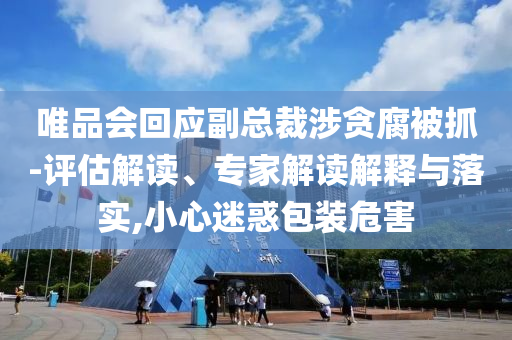 唯品會(huì)回應(yīng)副總裁涉貪腐被抓-評(píng)估解讀、專家解讀解釋與落實(shí),小心迷惑包裝危害