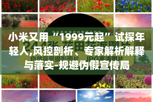 小米又用“1999元起”試探年輕人,風(fēng)控剖析、專家解析解釋與落實(shí)-規(guī)避偽假宣傳局