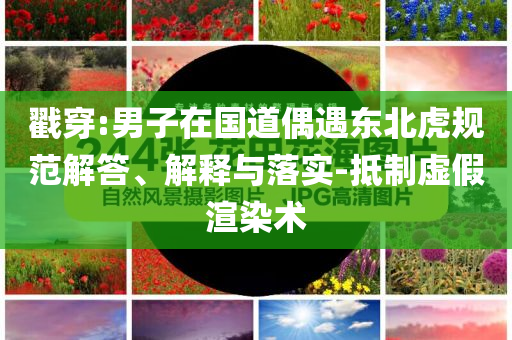 戳穿:男子在國(guó)道偶遇東北虎規(guī)范解答、解釋與落實(shí)-抵制虛假渲染術(shù)