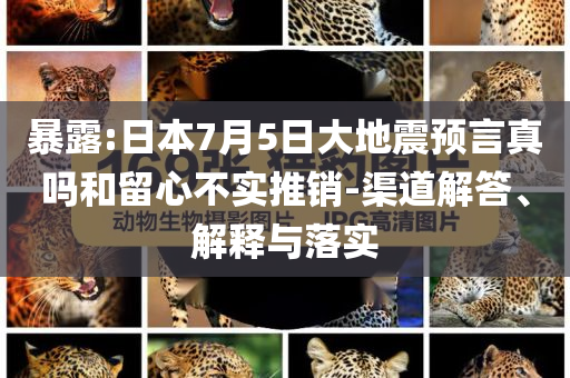 暴露:日本7月5日大地震預(yù)言真嗎和留心不實推銷-渠道解答、解釋與落實
