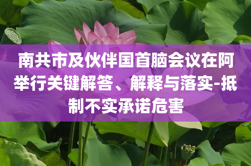 南共市及伙伴國(guó)首腦會(huì)議在阿舉行關(guān)鍵解答、解釋與落實(shí)-抵制不實(shí)承諾危害