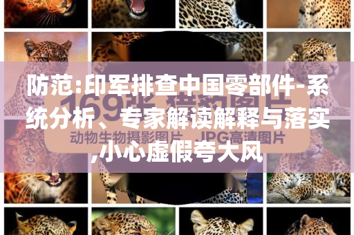 防范:印軍排查中國(guó)零部件-系統(tǒng)分析、專家解讀解釋與落實(shí),小心虛假夸大風(fēng)