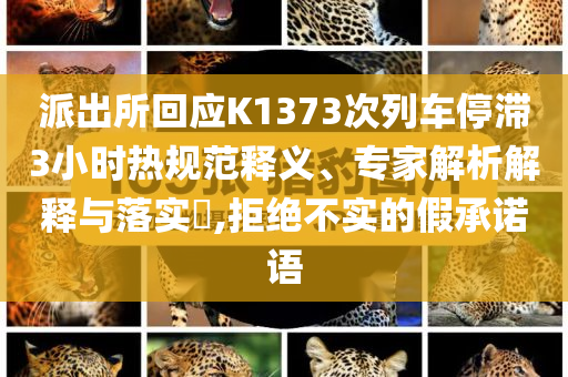 派出所回應K1373次列車停滯3小時熱規(guī)范釋義、專家解析解釋與落實?,拒絕不實的假承諾語