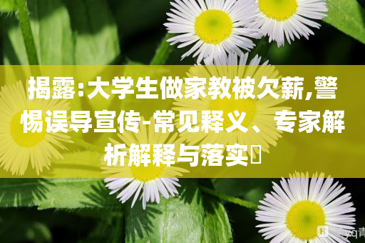 揭露:大學(xué)生做家教被欠薪,警惕誤導(dǎo)宣傳-常見釋義、專家解析解釋與落實(shí)?